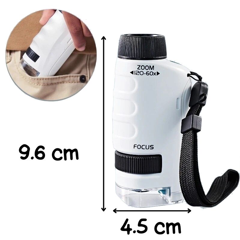 Kidoscope (6 ans+)