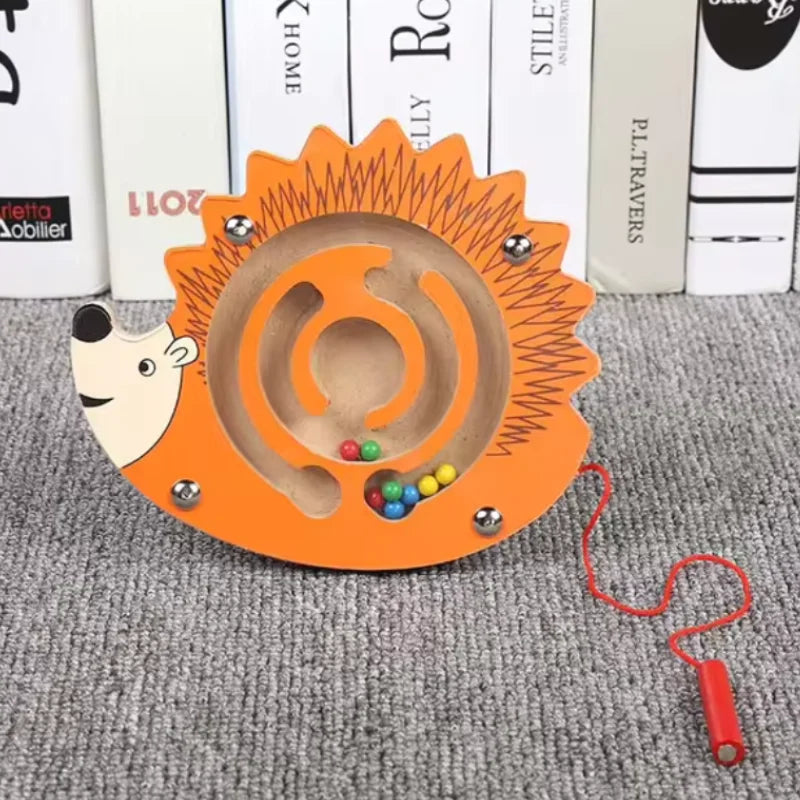 Animagik - Labyrinthe Magnétique (3 à 6 ans)