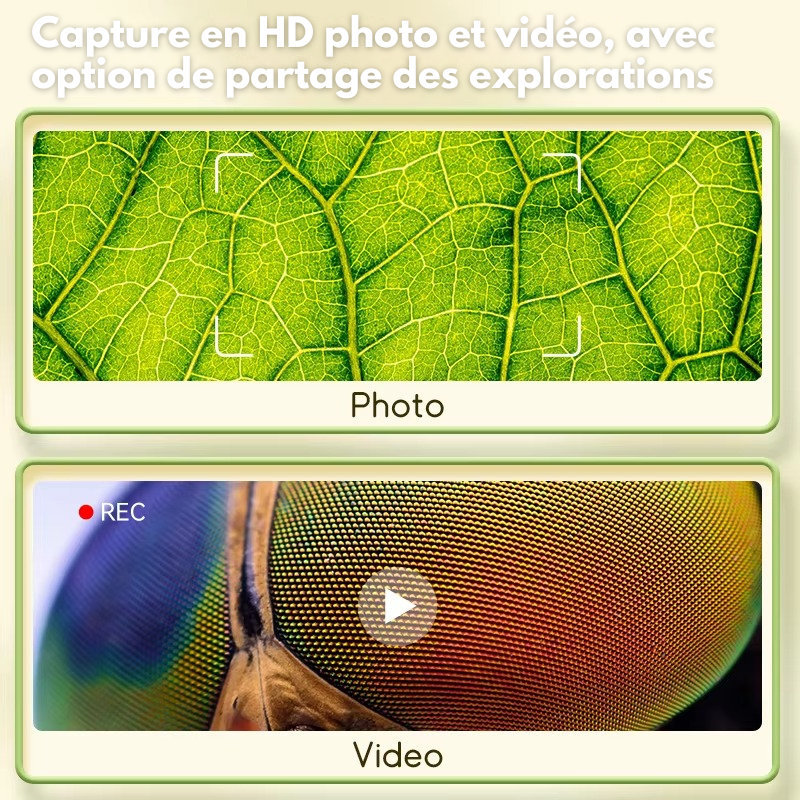 Digiscope 1000 - Microscope pour Enfants (3 ans+)
