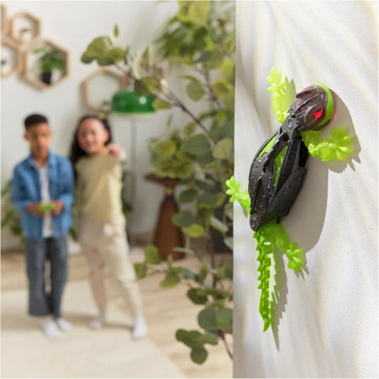 GeckoGrimpeur (4 ans+)